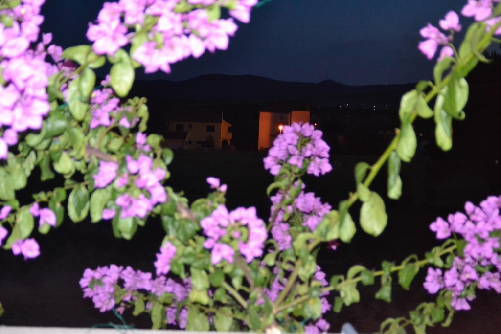 Apartment Klara Biograd Na Moru Room photo